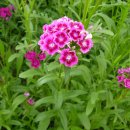 꽃소아청소년과의원 이미지