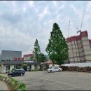 동림4리 이미지