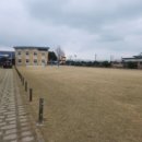 어란진초등학교 네이버블로그