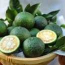 친구네 민박 이미지