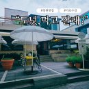 창원 가로수길 디저트 맛집으로 소문난 컵넛 가로수점 방문 후기
