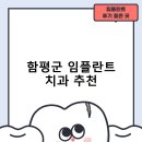 함평효치과의원 | 함평군 임플란트 치과 비용 및 후기, 정부 지원금 70% 안내-비용 후기 잘하는곳 추천하는곳