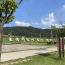 칠곡보사업소 | 경북 칠곡군 ‘칠곡보생태공원’ 두 돌 아기랑 피크닉 다녀온 후기