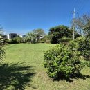 표선리-11 이미지