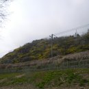 중랑천 산책로 이미지