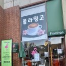 죽현로 | 보정동 카페 플라밍고 방문 후기