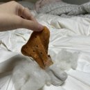 화목식당 이미지