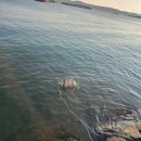 낙산B지구 주차장 공중화장실 | 태안 당암포구 서산B지구 방조제 11월 고등어 낚시 조황 후기