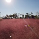 주포주유소 네이버블로그