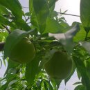 기북농장 이미지