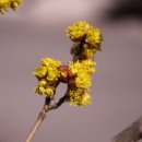 공도4로 이미지