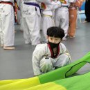 번개태권도 이미지