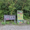 잣나무 향기 펜션 이미지