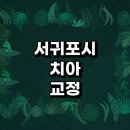 동인외과의원 | 치아교정 잘하는 전문치과 병원 추천 | 비용 후기 설측교정 돌출입 앞니 투명 무턱 부분 교정기 기간...