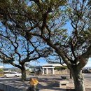 제주포인트투어 이미지