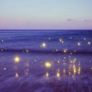 빛으로 그린 세상 이미지