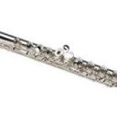 플룻 (연주자) 이미지