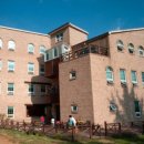 숲속반디 이미지