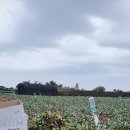 훈이네 농장 이미지