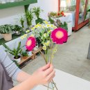 해피플라워 | 청주 꽃집 해피플라워 꽃다발 원데이클래스 후기