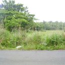 색달동-14 이미지