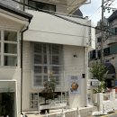 압구정망고 | 도산공원 카페 코제트 | 압구정로데오 망고빙수 맛집 다녀온 후기