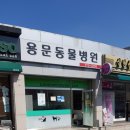 용문동물병원 이미지