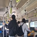 이시각 주요 두달만에 반만원버스탄 음닝 이미지