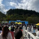 (주)케이티앤지 김천공장 | 2025 김천 김밥축제 후기(주차,교통 및 여러꿀팁)
