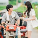 힐링드 | 안효섭,채원빈의 농촌힐링드 <오늘도 매진했습니다> 1~4회 찍먹 후기