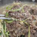 안동하늘소