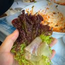 [강원도] 삼척 정동진 횡성 1박2일 가족여행 알차게 쏘다니기 : 알찬후기
