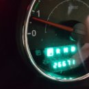 지프로드 이미지