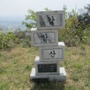 함평나비(무안) 이미지