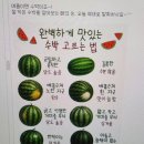 여름 식사 │ 6.8.-6.14.