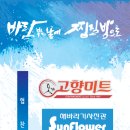 바람몰