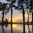 스카이 온수수영장 펜션 이미지