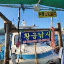 원전어촌계 (황금)낚시터 | 마산 원전 해상펜션 황금선상콘도 낚시 조황 후기 고등어
