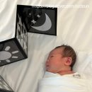 동탄제일산후조리원 | 💛 [동탄제일산후조리원(모젤) 후기] 따뜻한 휴식과 배움이 함께한 9박 10일간의 기록