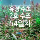 유경2호 이미지