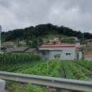 가중1리 경로당 이미지