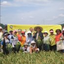 새의성농협 단촌지점 이미지