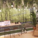 우미마트 이미지