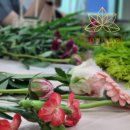 그림책, 마음을 잇다 이미지