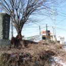 삼봉3리 이미지