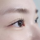 블랙N래쉬