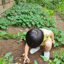 신임마누엘어린이집 이미지