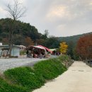 서울 근교 캠핑장ㅣ경기도 안성 운모석캠핑장(운모석농원) 후기