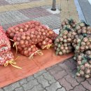 거남한의원 이미지