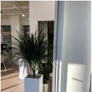 바디랩 그룹트레이닝 & PT 강변점 이미지